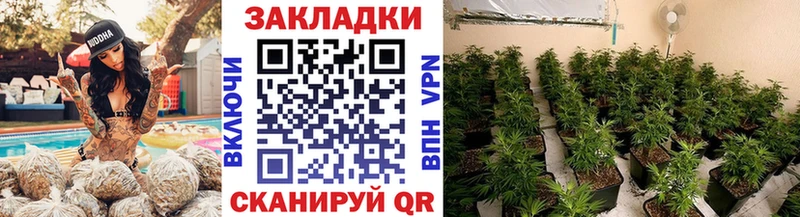 Как найти наркотики Закаменск ГЕРОИН  Псилоцибиновые грибы  СК  АМФЕТАМИН  Гашиш  Конопля  МЕФ  COCAIN 
