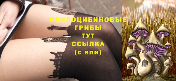 молекула духа Армянск