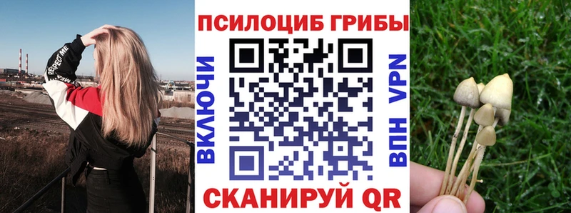 Псилоцибиновые грибы прущие грибы Закаменск